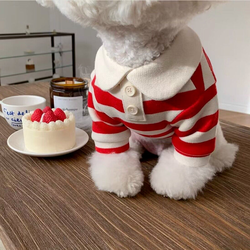 Pomeranian Shirt for Small Dogs Cats