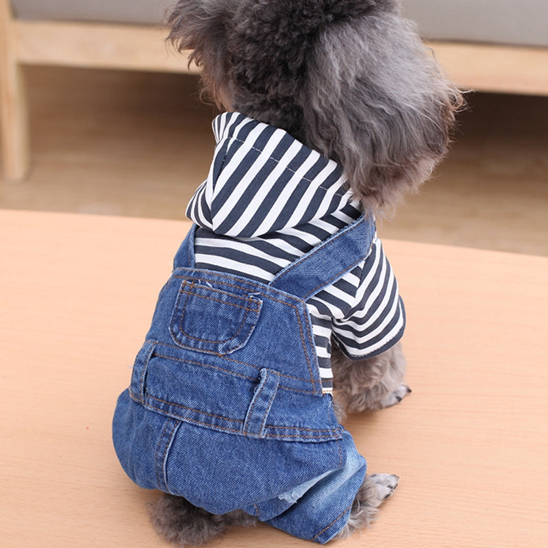 Dog stripe denim suit