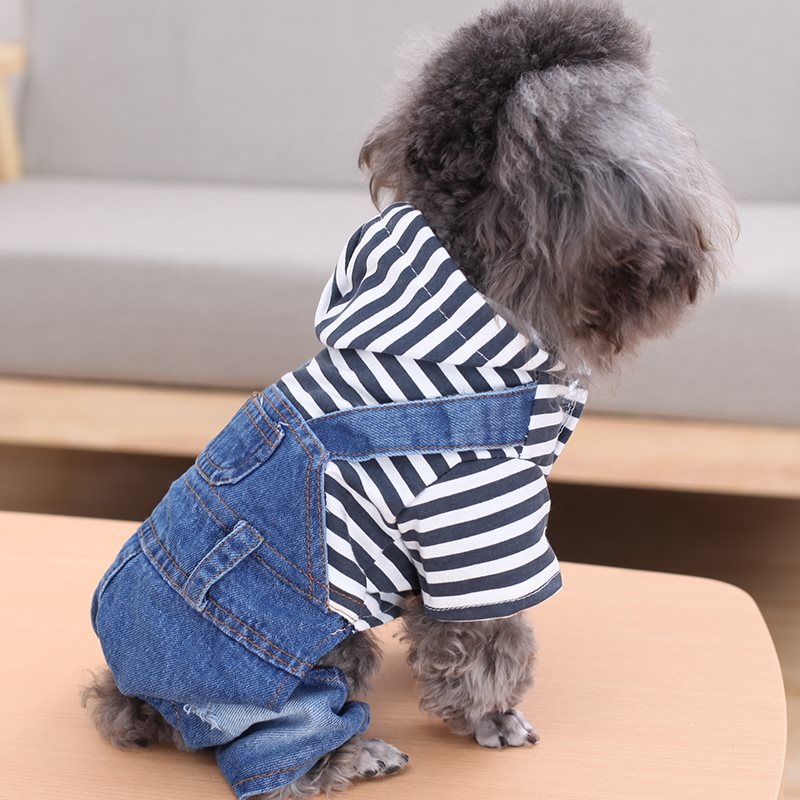 Dog stripe denim suit