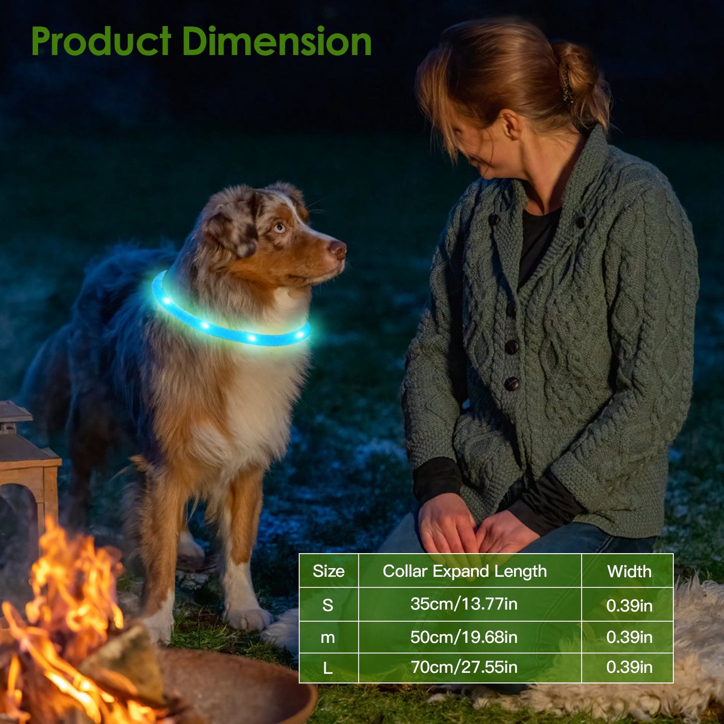 LED Lighting Dog Safety Collar Multi Color