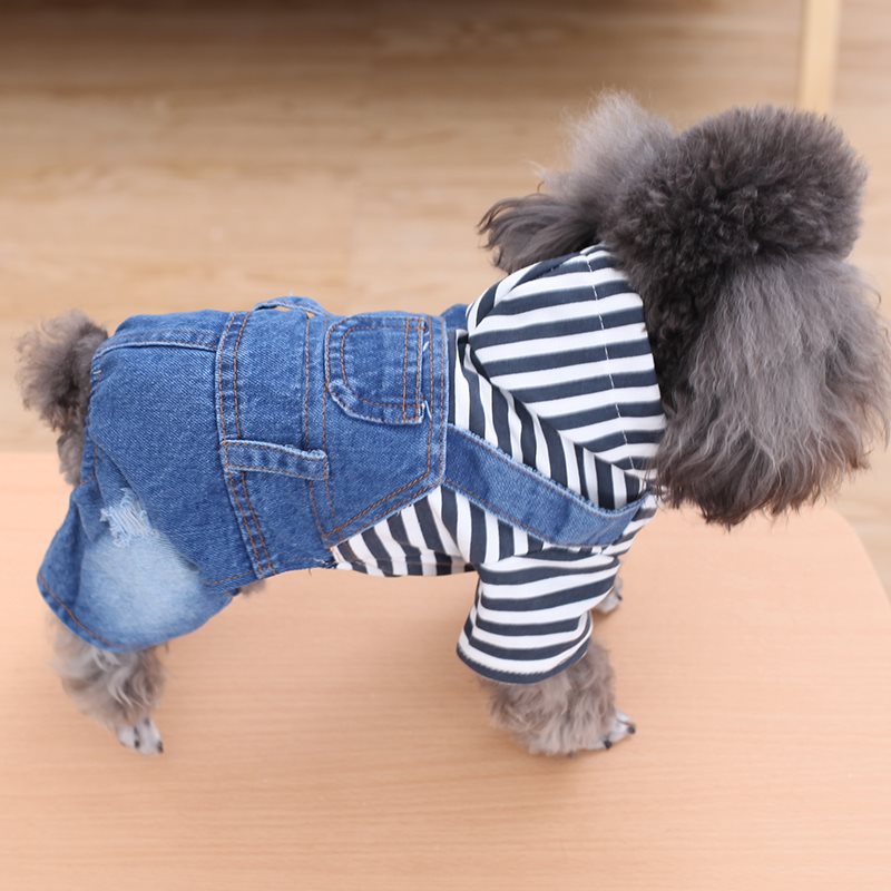 Dog stripe denim suit