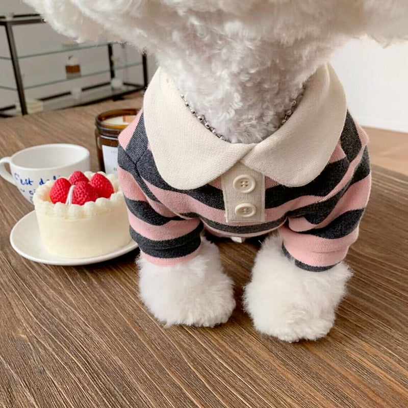 Pomeranian Shirt for Small Dogs Cats