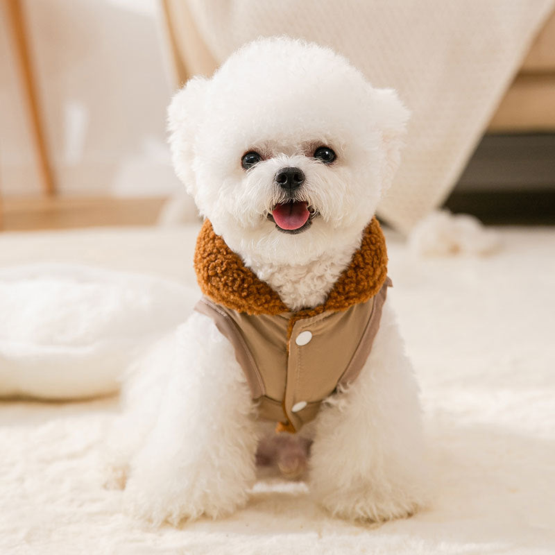 Korean Style Coffee Sweater Fall & Winter