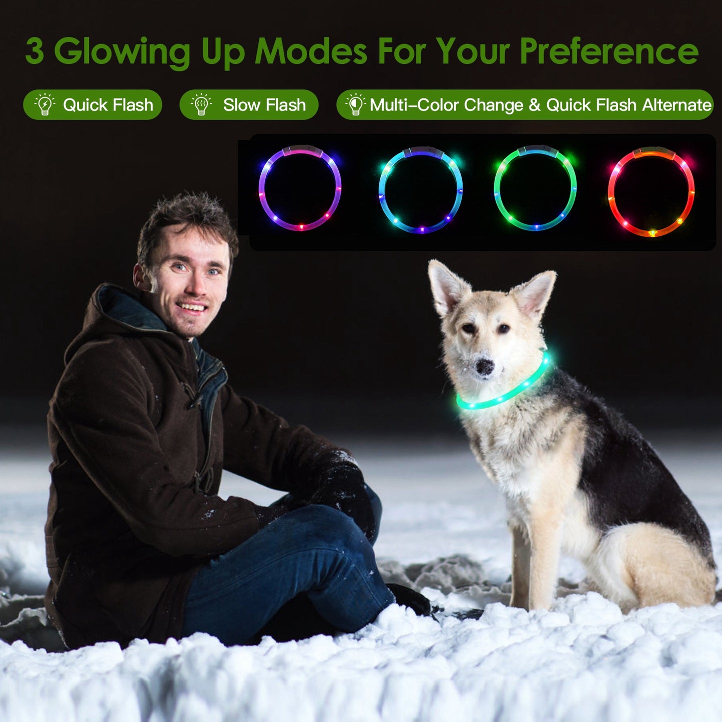 LED Lighting Dog Safety Collar Multi Color