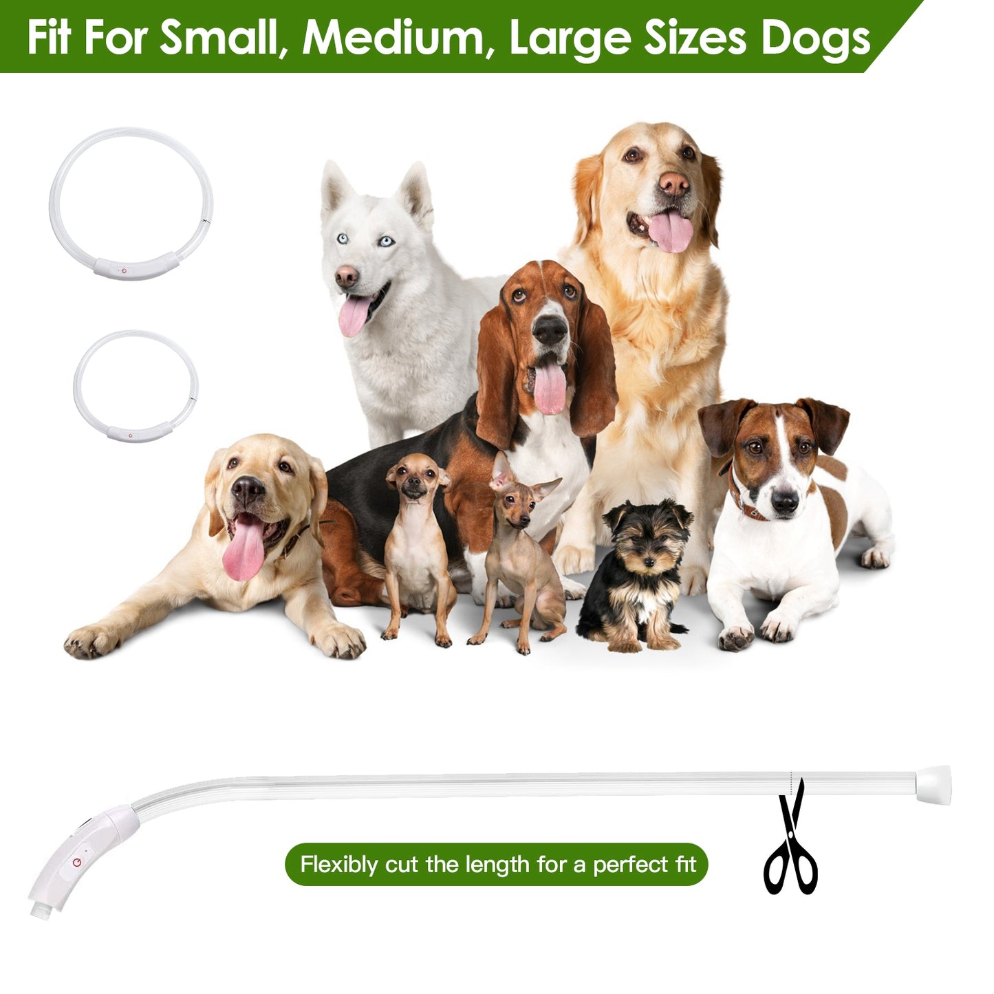 LED Lighting Dog Safety Collar Multi Color