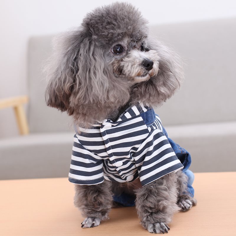 Dog stripe denim suit