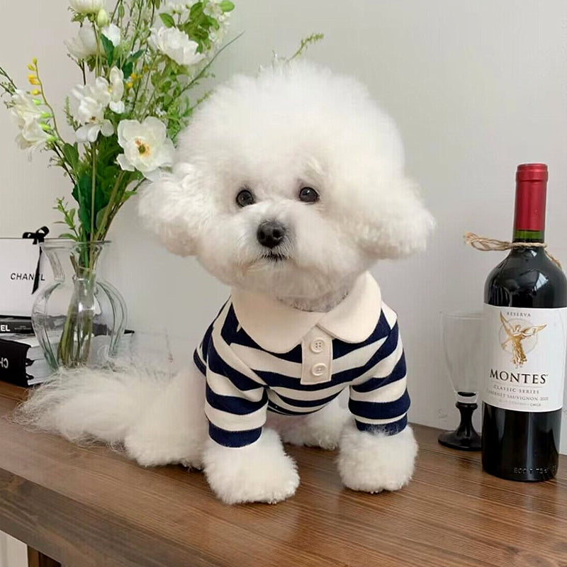 Pomeranian Shirt for Small Dogs Cats
