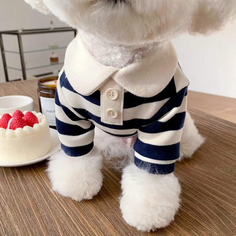 Pomeranian Shirt for Small Dogs Cats