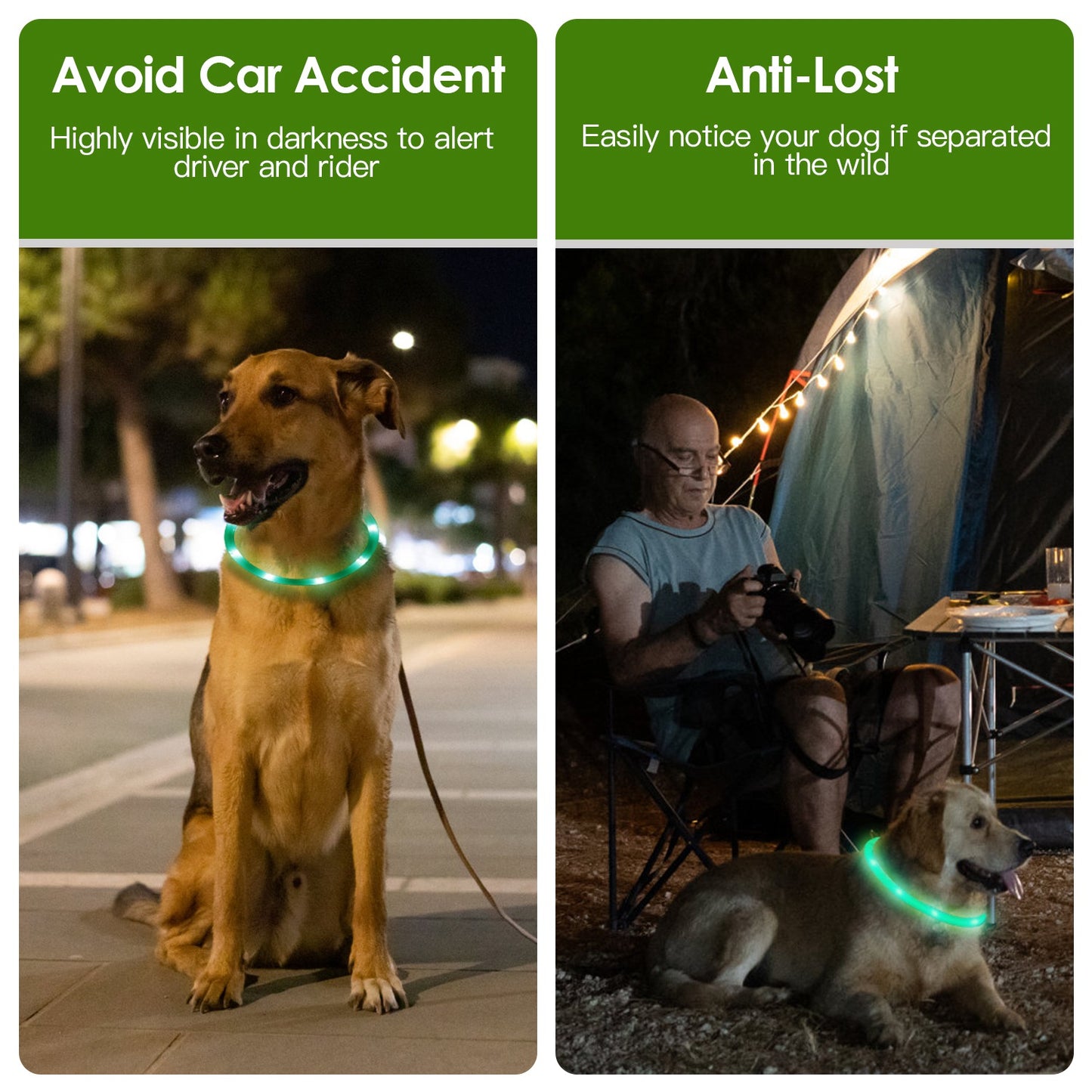 LED Lighting Dog Safety Collar Multi Color