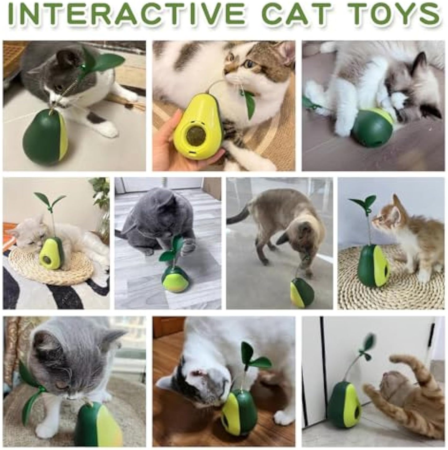 Catnip Feeder Cat Toy